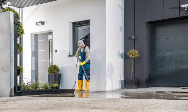 Best Solar Panel Cleaning  in Wekiwa Springs, FL